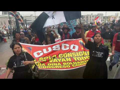 Protesters in Lima call for Peruvian president Boluarte's resignation