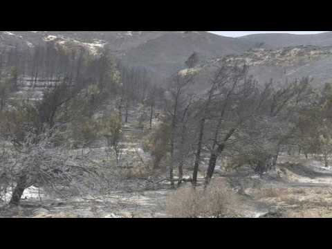 Greek island of Rhodes left blackened by wildfires near village of Navi