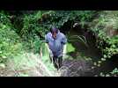 Plougasnou : Le ruisseau de Pontplaincoat pollué à la soude