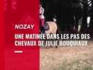 Cheval diffusion à Nozay (copy)