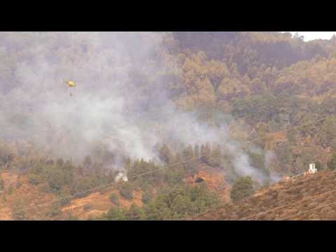 Spanish firefighters battle wildfire on Tenerife