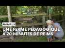 une ferme pédagogique à 20 minutes de Reims