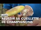 Cet été, les cueilleurs de champignons prennent leurs pieds