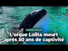 L'orque Lolita, de son vrai nom Tokitae, est morte au Seaquarium de Miami
