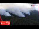 Un vaste incendie de forêt ravage l'île espagnole de Tenerife