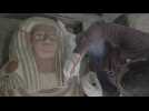 La découverte des derniers tombeaux d'Egypte - Saqqarah et les momies oubliées