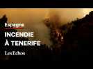 En Espagne, des feux « hors de contrôle » sur l'île de Tenerife