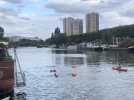 Nage en eau libre : Les Ourcq polaires explorent la ville par la Seine