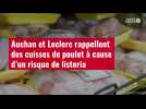 VIDÉO. Auchan et Leclerc rappellent des cuisses de poulet à cause d'un risque de listeria