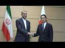 Iran's foreign minister Amir-Abdollahian meets Japanese PM Kishida