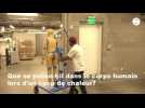 VIDEO. Des robots en sueur pour lutter contre la canicule