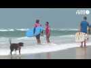 VIDEO. La pratique du surf explose, dans Les Landes, la police municipale contrôle les moniteurs
