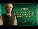 Harry Potter - EP.7 - Tous les Serpentard sont-ils vraiment maléfiques ?