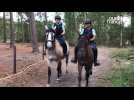 VIDÉO. En Sarthe, les gendarmes patrouillent à cheval pour lutter contre les feux de forêt