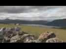 En Ecosse, le Loch Ness souffre de la crise climatique comme jamais