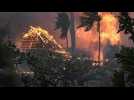 Incendies à Hawaï : 36 morts à Lahaina, une station balnéaire ravagée par les flammes