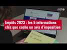 VIDÉO. Impôts 2023 : les 5 informations clés que cache un avis d'imposition