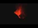 VIDÉO. Italie : l'Etna est en éruption, des vols suspendus