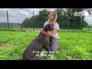 Reportage SPA