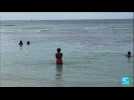 Canicule : un record de 30 degrés enregistré dans les eaux de Guadeloupe