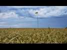 Les agriculteurs ukrainiens inquiets pour les exportations de céréales