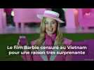 Le film Barbie censuré au Vietnam pour une raison très surprenante