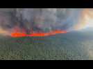 Réchauffement climatique : des feux de forêt plus fréquents et virulents