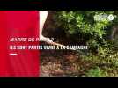 EXERCICE CLAIRE NE PAS PUBLIER