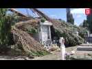 Haute-Garonne : à Puydaniel, un cimetière dévasté par une tornade