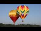 Hot air balloons soar into the sky at annual New Jersey festival