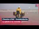 Chemins d'été : La pêche à la crevette à Oostduinkerke