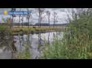 La tourbière d'Heurteauville un laboratoire de biodiversité