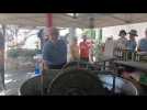 Balagne : démonstration de broyage et de presse d'olives sur la foire de Montegrossu