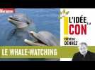 L'idée à la con : le whale-watching (l'observation des baleines)