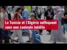 VIDÉO. La Tunisie et l'Algérie suffoquent sous une canicule inédite