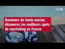 VIDÉO. Amateurs de fonds marins, découvrez les meilleurs spots de snorkeling en France