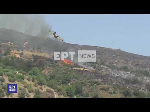 Images of firefighting plane crash in Greece