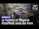 Canicule : La Tunisie et l'Algérie sont en proie aux chaleurs et aux feux