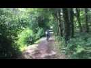 On a testé le vélo électrique en forêt d'Ors