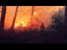 Feu de forêt à Falicon: plus de 100 sapeurs-pompiers mobilisés