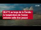 VIDÉO. 38.4°C au large de la Floride : la température de l'océan avoisine celle d'un jacuz