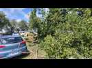 Le vent a fait tomber un arbre au parking près du CCAS à Béthune
