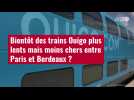 VIDÉO. Bientôt des trains Ouigo plus lents mais moins chers entre Paris et Bordeaux ?