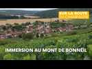 Immersion au Mont de Bonneil