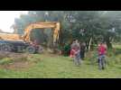 fait div vache dans la Lys