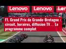 VIDÉO. F1. Grand Prix de Grande-Bretagne : circuit, horaires, diffusion TV... Le programme c