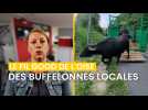 Fil good de l'Oise #23