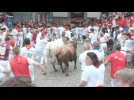 Espagne: premier lâcher de taureaux à la San Fermin