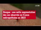 VIDÉO. Dengue : une nette augmentation des cas observée en France métropolitaine en 2022