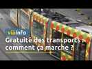 Montpellier : Tout ce qu'il faut savoir sur la gratuité totale des transports en commun
